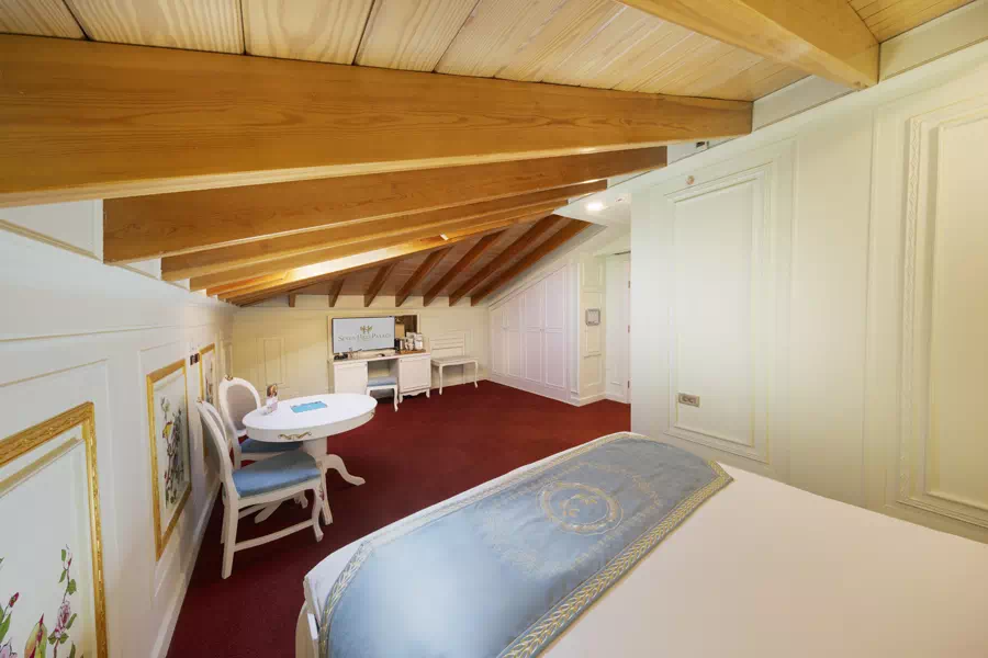 Luxury Hotel, Istanbul Sutanahmet